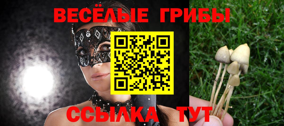 Кисловодск  Галлюциногенные грибы GOLDEN TEACHER  Псилоцибиновые грибы Cubensis  Вход с VPN 