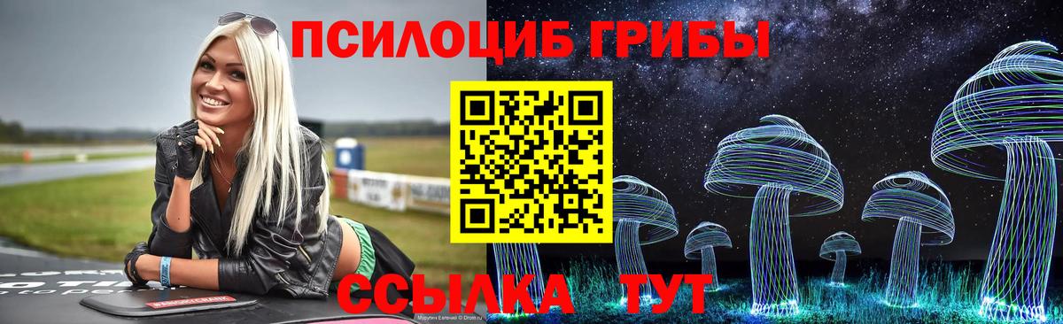 Галлюциногенные грибы Psilocybe Кисловодск